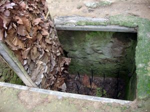 Deadly Bamboo Jungle Traps