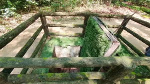 Deadly Bamboo Jungle Traps